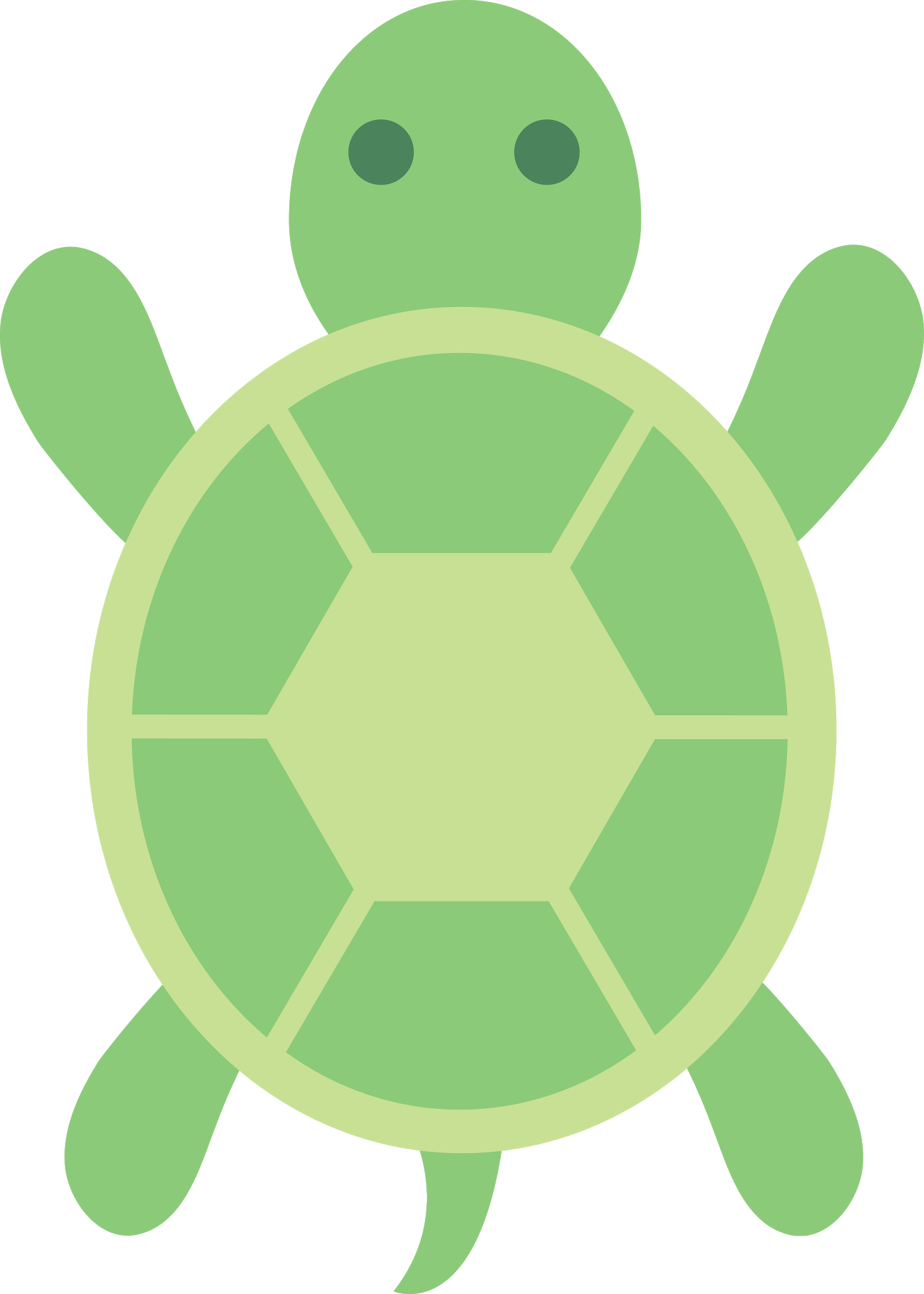Green Turtle PNG Free Download