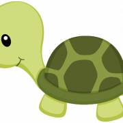 Green Turtle PNG Free Image