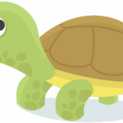 Green Turtle PNG Image