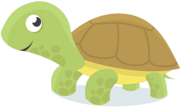 Groene schildpad PNG afbeelding