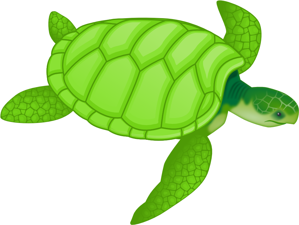 Green Turtle PNG