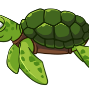 Green Turtle Transparent