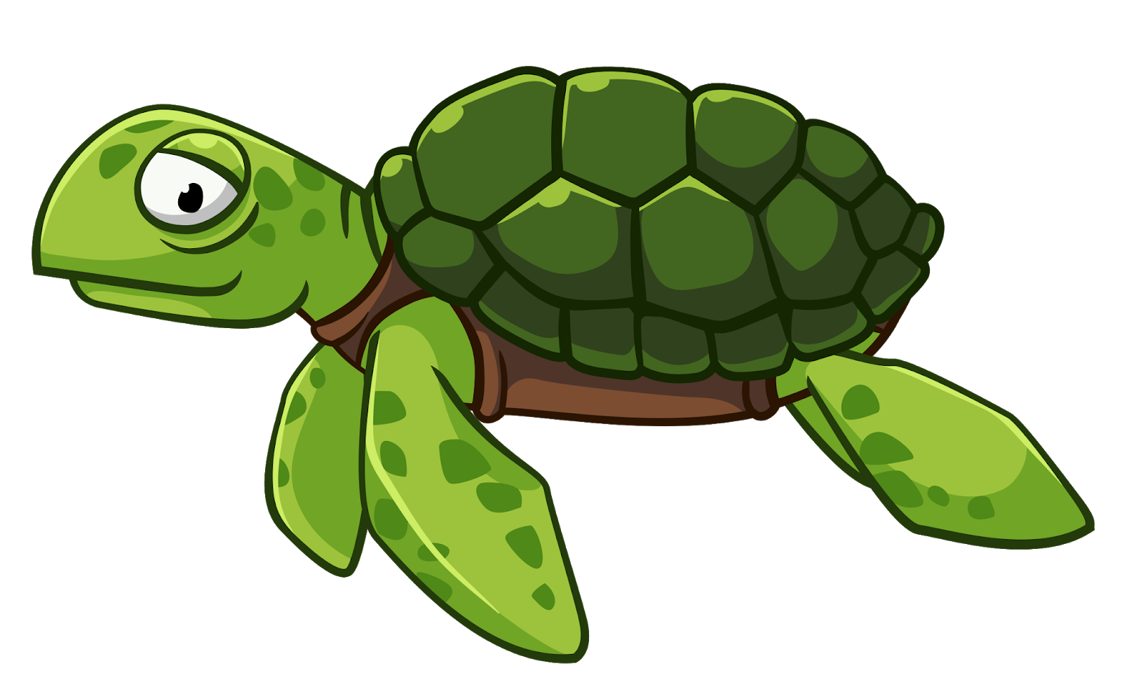 Green Turtle Transparent