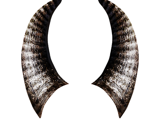 Horn PNG Image