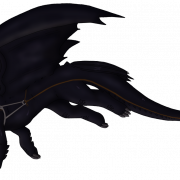 Hoe je je Dragon Toothless PNG Clipart traint