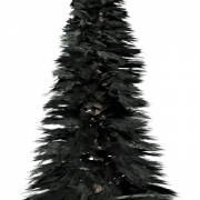 Сосновая дерево PNG Clipart