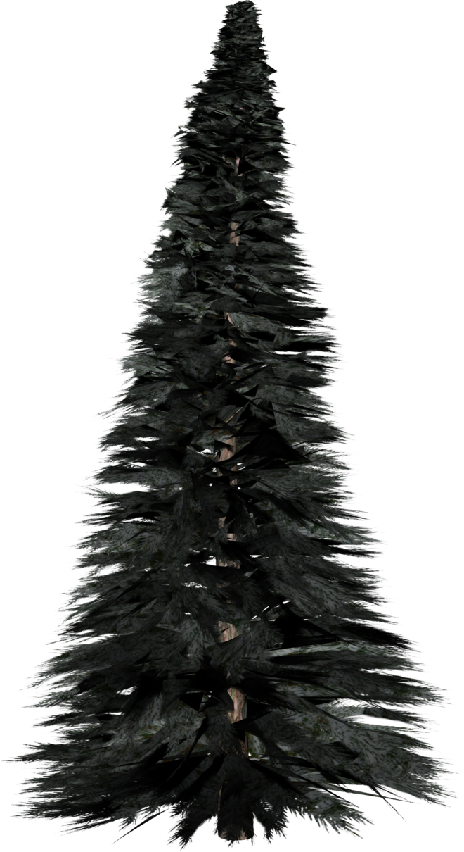 Pine Tree PNG Clipart
