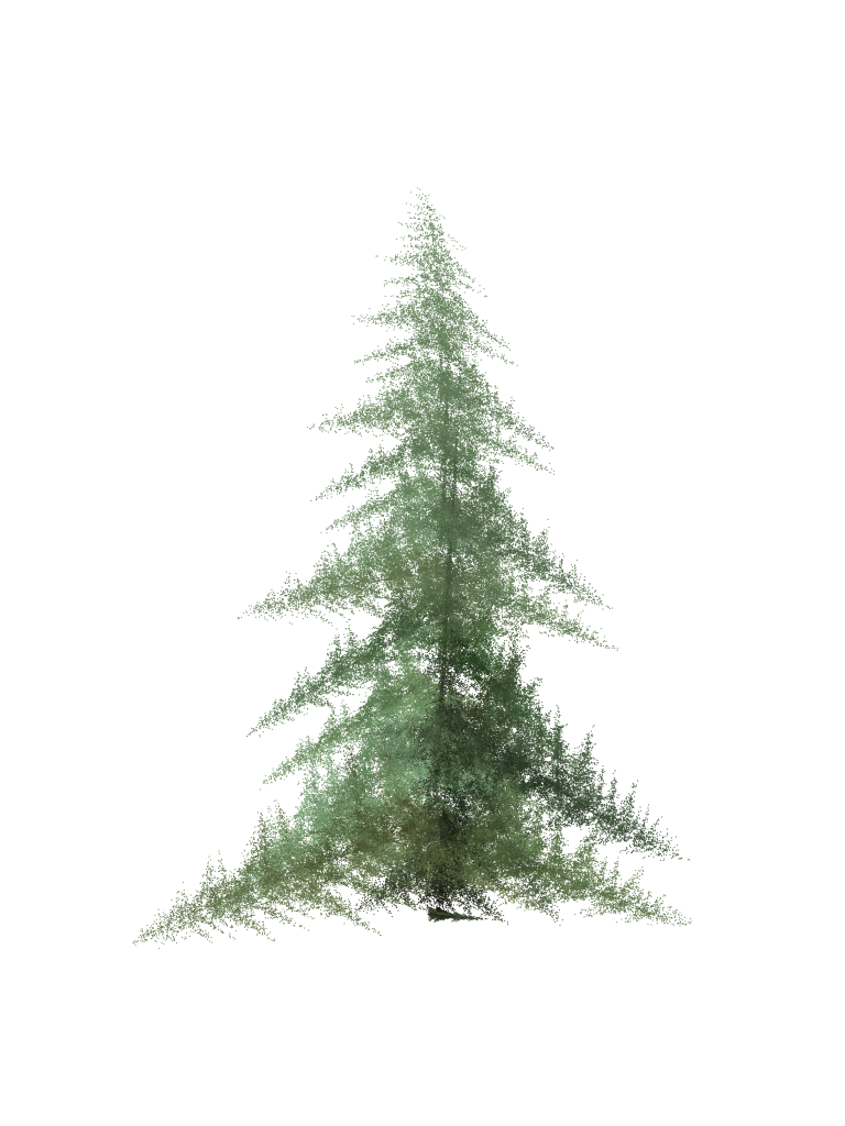 Pine Tree PNG Free Download