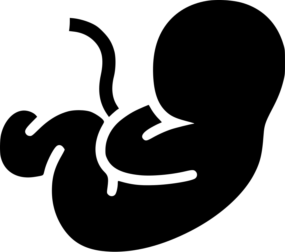 Clipart PNG in gravidanza