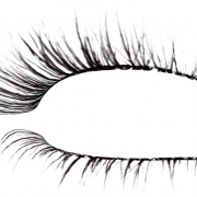 Realistic Eyelashes PNG Free Download
