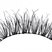Realistic Eyelashes PNG Picture