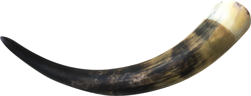 Realistic Horn PNG