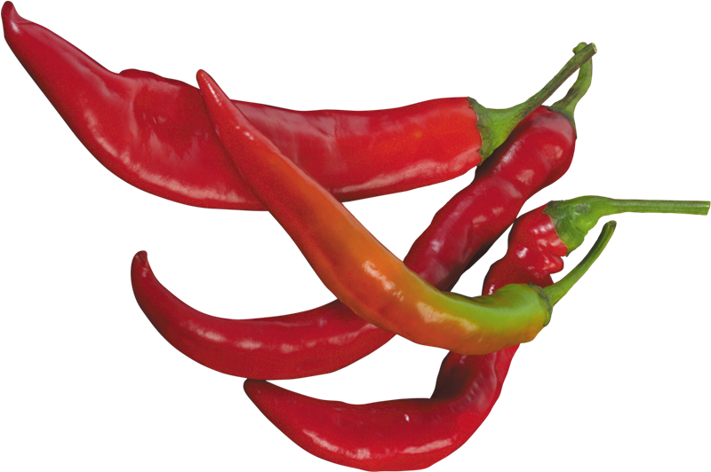 Red Chilli Pepper PNG Clipart