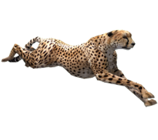 Running Cheetah PNG Free Image