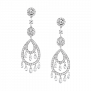 Silver Earring PNG File