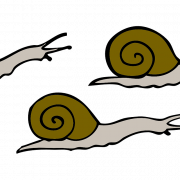 Mabagal na snail