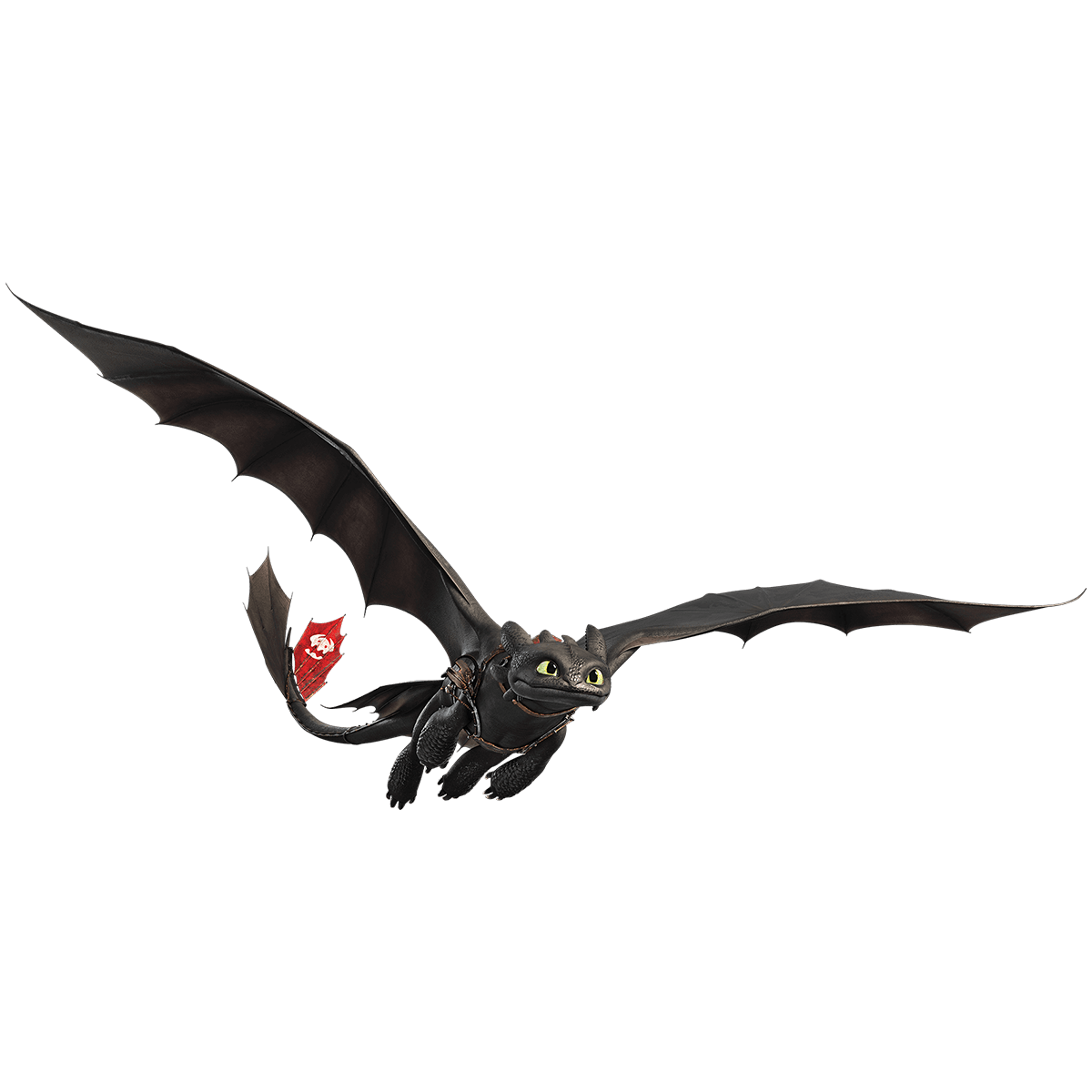 Toothless Dragon PNG Clipart