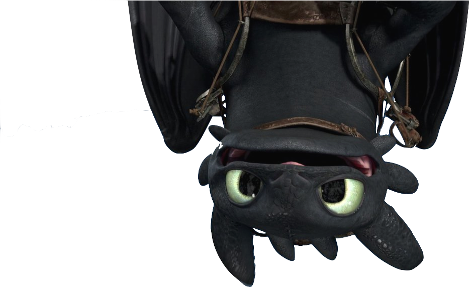 Toothless PNG Picture