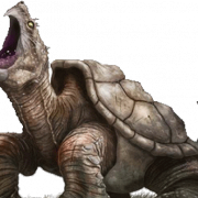 Turtle PNG File