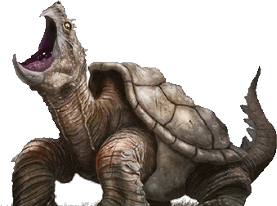 Turtle PNG File