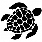 Turtle PNG Picture