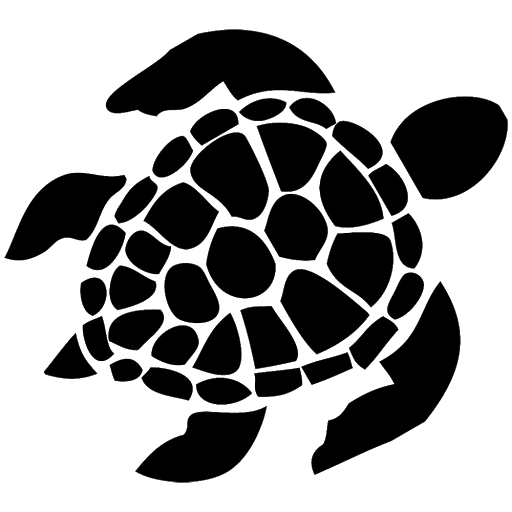 Turtle PNG Picture
