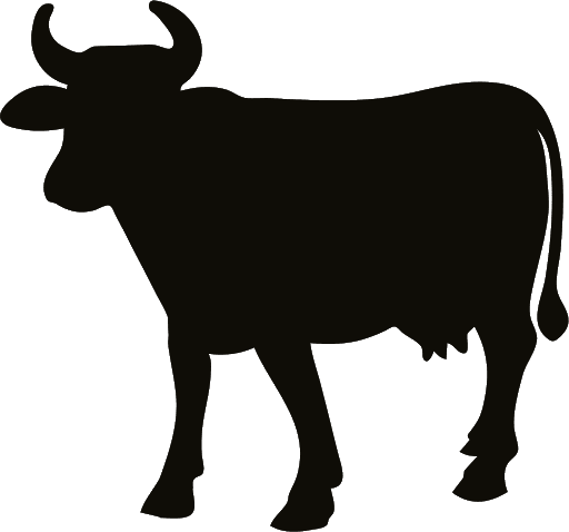 Vector Cattle PNG Clipart