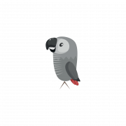 Immagine png vettoriale grigio pappagallo