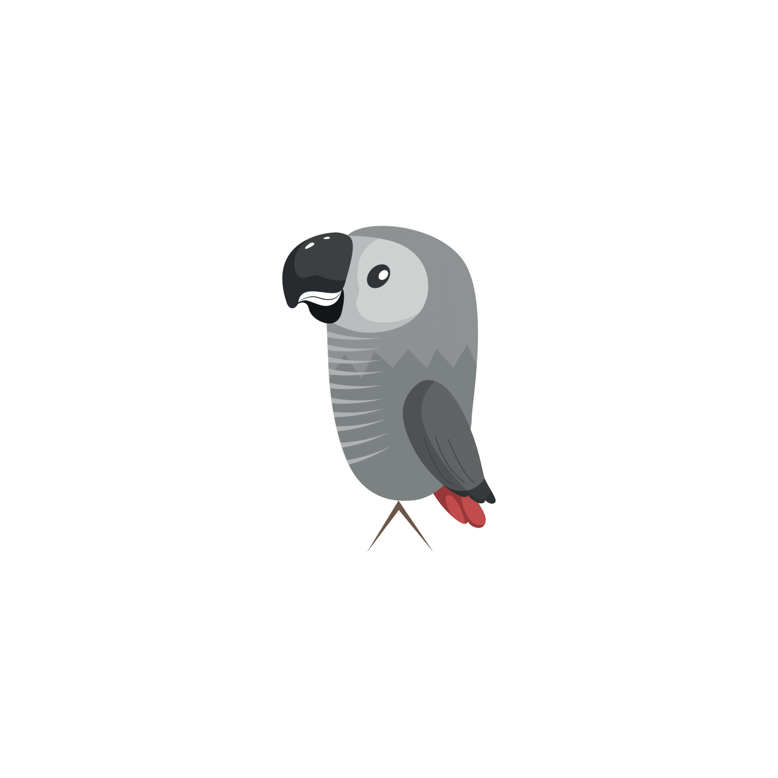 Immagine png vettoriale grigio pappagallo