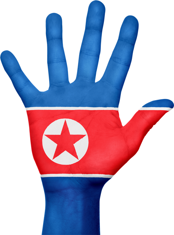 Vector North Korea Flag
