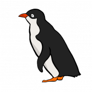 Antarctica Emperor Penguin PNG