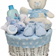Baby Basket Png Scarica immagine