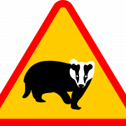 Badger PNG -afbeeldingen