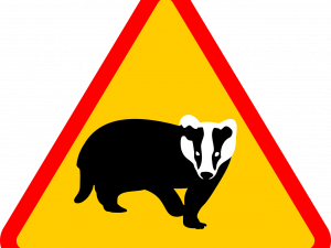 Badger PNG Images