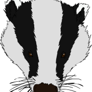 Badger Vector PNG รูปภาพ