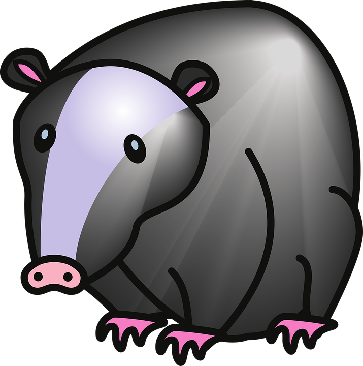 Badger Vector PNG Picture