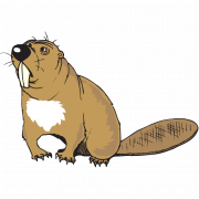 Beaver PNG Download Image