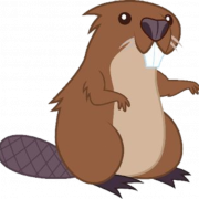 Beaver PNG Free Image