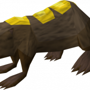 Beaver PNG High Quality Image