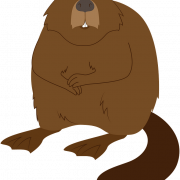 Beaver PNG Picture
