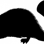 Beaver Silhouette PNG Free Download