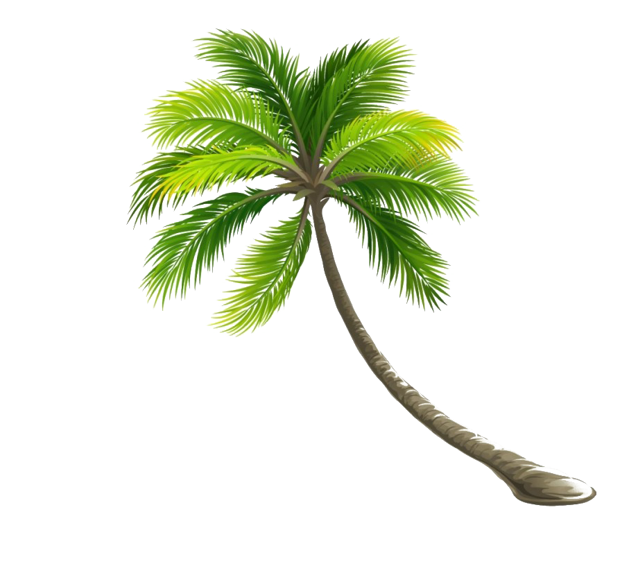 Coconut Tree PNG Images