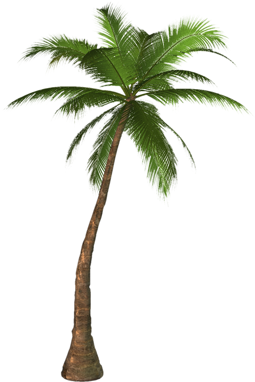 Coconut Tree PNG