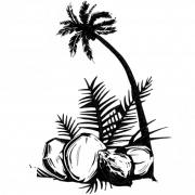 Coconut Tree Silhoutte PNG Clipart