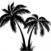 Coconut Tree Silhouette PNG File