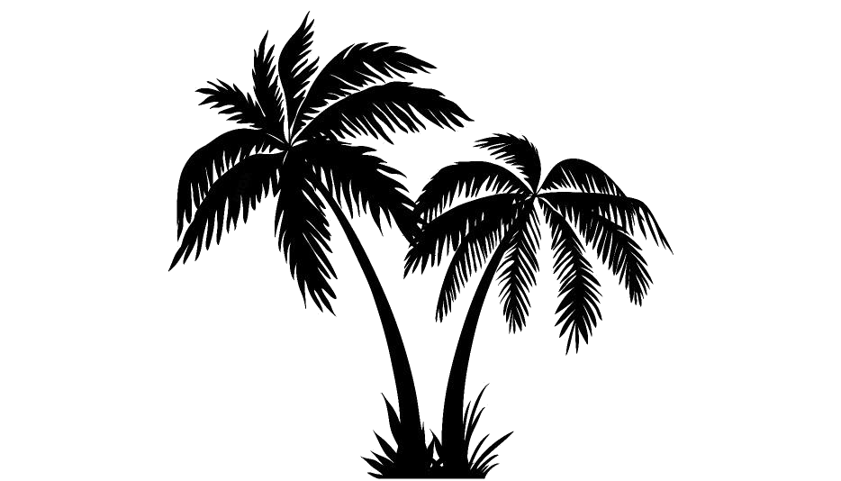 Coconut Tree Silhouette PNG File