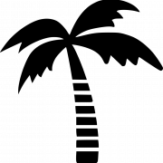 Coconut Tree Silhoutte PNG Free Download