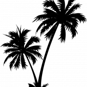 Coconut Tree Silhoutte PNG Imahe