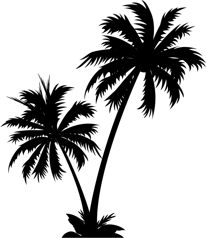 Kokosnussbaum Silhoutte PNG Bild