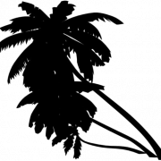 Coconut Tree Silhoutte PNG Picture